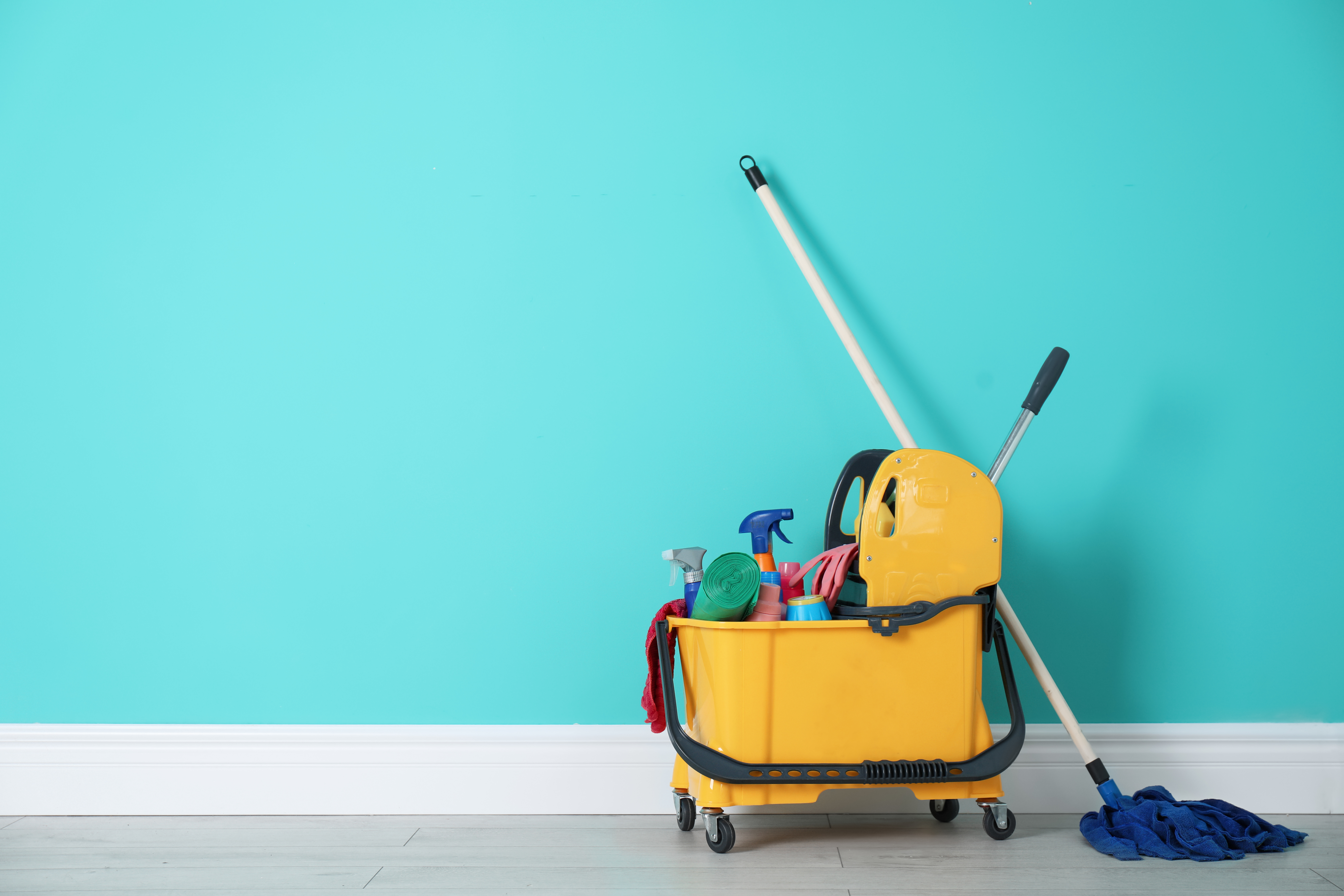 Risley Commercial Cleaning professional cleaning team